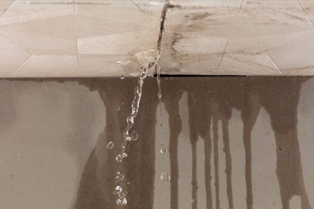 Professional Structural Drying technician working in Ashland, NH